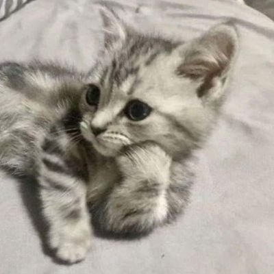 annyeongNoona27's profile picture. I'm just an ordinary person but thank you for making me special ✨

Multi stan 😮‍💨💖