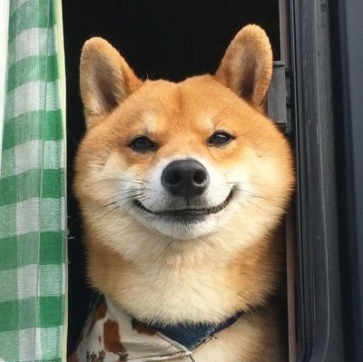 돌탕さんのプロフィール画像