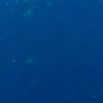 goodbyebeta's profile picture. 