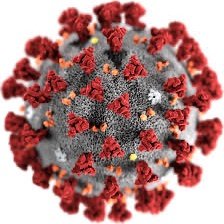Coronavirus disease 2019 (COVID-19) is an infectious disease caused by a new virus that has never been identified in humans before.
This virus causes respirator