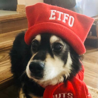 cecchinadel's profile picture. Maximus. "Nevertheless, she persisted."