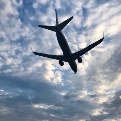 unajodidacreisi's profile picture. entre 🚄 y ✈️