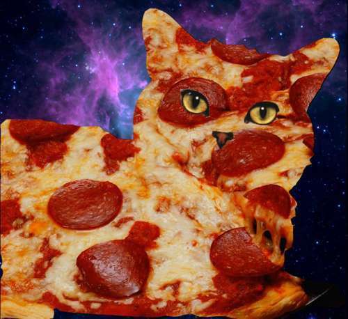 TheRealTCM's profile picture. The Real Total Cat Move