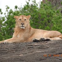 DIARIO DE UN VOTOCRATA (@votocrata) 's Twitter Profile Photo DIARIO DE UN VOTOCRATA (@votocrata) 's Twitter Profile Photo