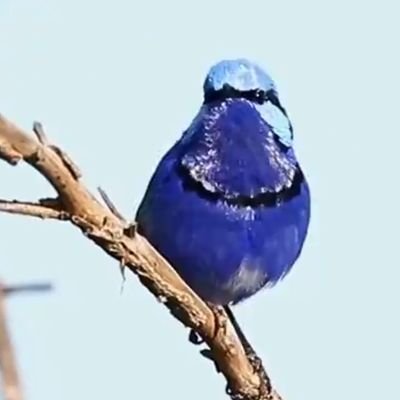 AkifyiImaz's profile picture. adalet, özgürlük, insanca yaşamak.