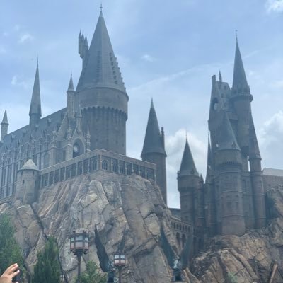 kevinnguyenbf4's profile picture. 