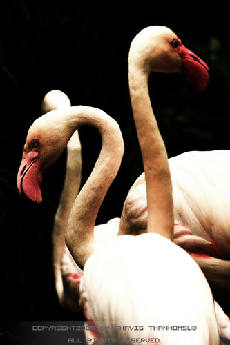 linespace28's profile picture. 