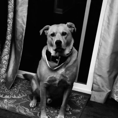 gdjohnson24's profile picture. guess