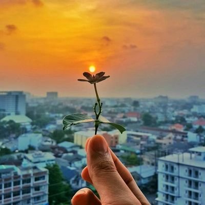 H50289424's profile picture. 