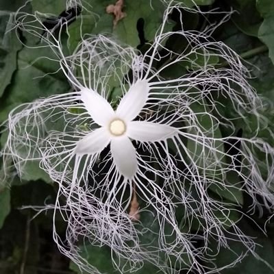 ☪️タロット、数秘術メイン占い師
🌛もつれを改善
🌛一歩を踏み出す後押し
☪️活動リンク
https://t.co/NCs05Qr23A
💎天然石ハンドメイド作家💎メンタル心理カウンセラー💎アロマ&カラーセラピスト💎レイキヒーリング💎シータヒーリング💎介護士