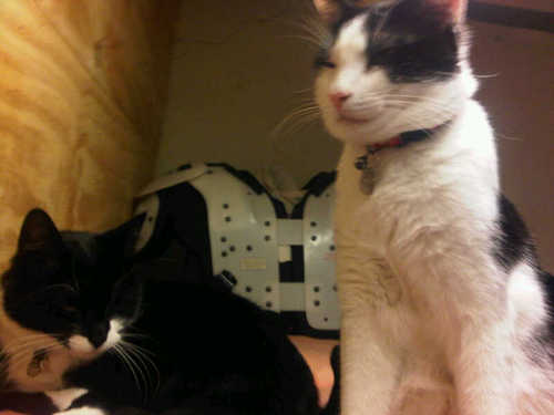 Bbnmgn's profile picture. O ja nee toch