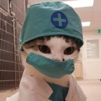 SerCe (@guvenbunalimi) 's Twitter Profile