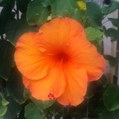 amie__jo's profile picture. 