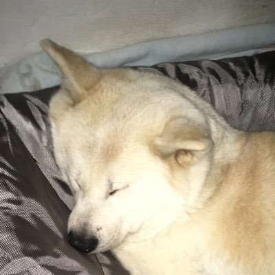 juanki_jcr's profile picture. 