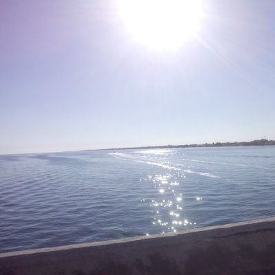 heribertog20's profile picture. 