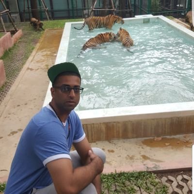 MoSaeed89's profile picture. 