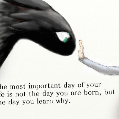 ChieftessF's profile picture. 