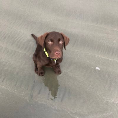 cotterilliii's profile picture. 