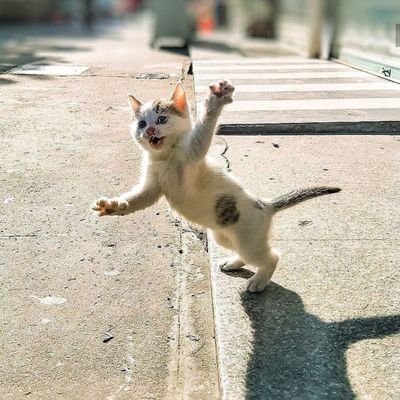 BANDAR_OMAR's profile picture. Hell is empty and all the devils are here.