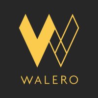 Walero Motorsports(@WaleroRacing) 's Twitter Profile Photo