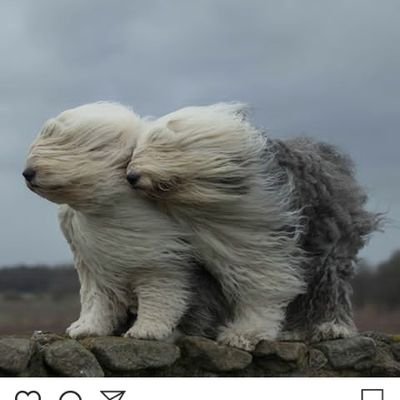 ISMAELMMCARS's profile picture. 