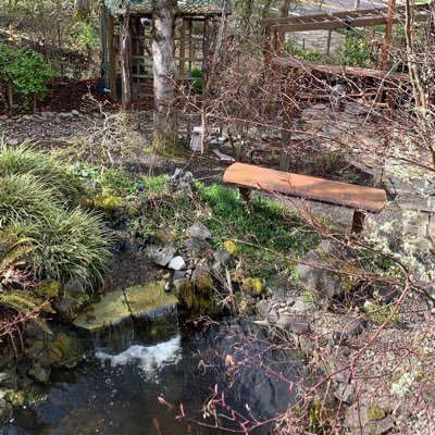 BeharaAruna's profile picture. curious