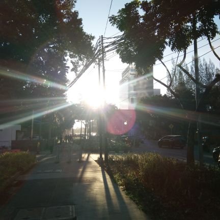 lordboyGf's profile picture. 