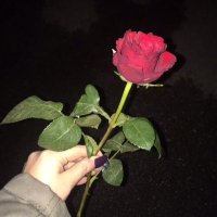 Yiğit Can (@yigitresmii) 's Twitter Profile