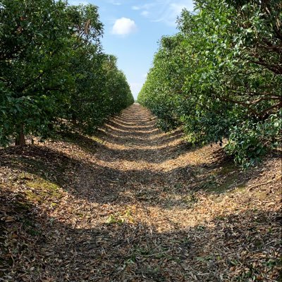 Bilkent IR graduate interest on FP farmer wonderer  Galatasaray Sk genel kurul üyesi 14126