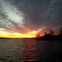 Bob Leore (@aylsud) 's Twitter Profile Photo