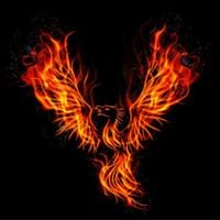 thepolymath777's profile picture. OM MANI PADME HUM