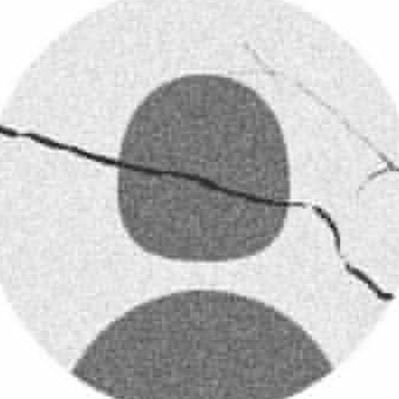 f66_1988's profile picture. (....