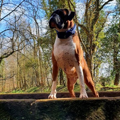 CoopersTails Profile