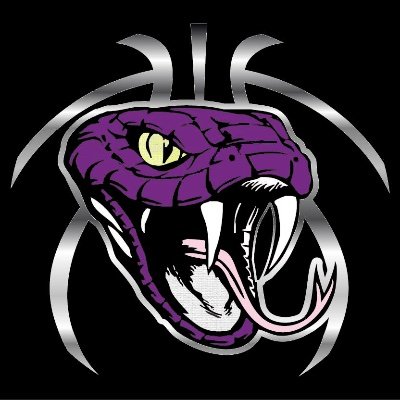 Official Twitter account for The Lady Diamondbacks Basketball Team - Century High School. Home of Ten straight district championships. 3x State Champs.