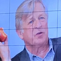 Peer van der Kreeft (@peervdkreeft) 's Twitter Profile
