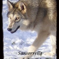 Sandra Curry - @Sansorrella Twitter Profile Photo