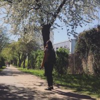 MCMV 🦁 (@cemonunkizi2) 's Twitter Profile