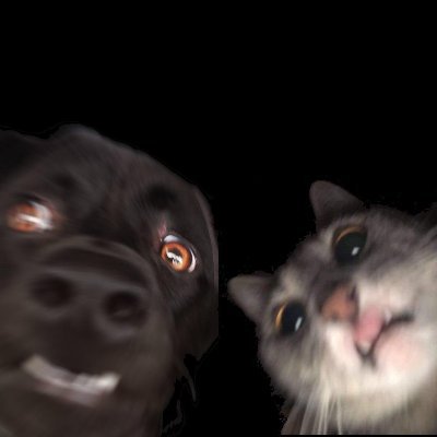 98Anonisweird's profile picture. Just a guy looking at Twitter