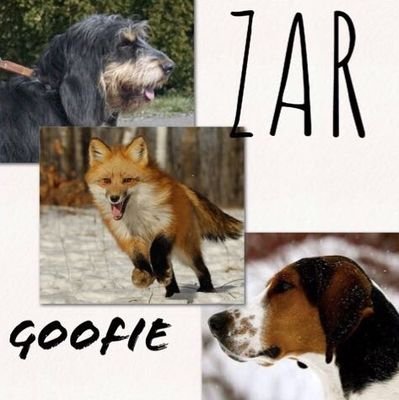 Saramallo4's profile picture. 