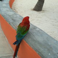 Diego (@diegoflannery) 's Twitter Profile