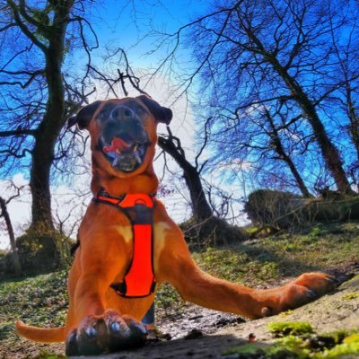 _adricast's profile picture. Computer Engineer and tech passionate. But I have a social life too