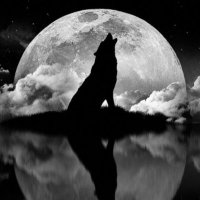 Lobo (@tonosvj) 's Twitter Profile Photo Lobo (@tonosvj) 's Twitter Profile Photo