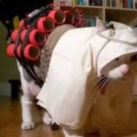 F3L1NE (@ne_f3) 's Twitter Profile