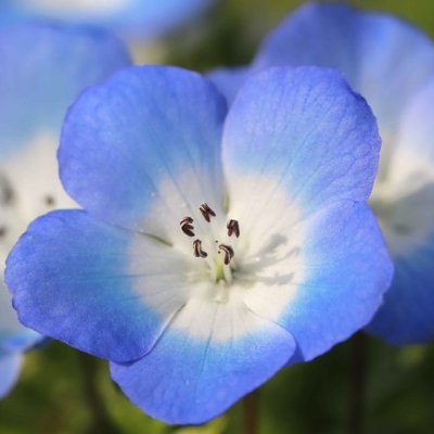 T Nikata On Twitter 愛人 中国語 テレサテン 字幕 歌詞 翻訳 カタカナ発音 ピンイン Https T Co Yiqoxzuqzc Youtubeより