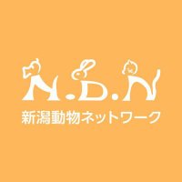 新潟動物ネットワーク　クラウドファウンディング挑戦中！(@ndn_niigata) 's Twitter Profile Photo