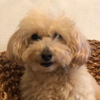 みっつ (@lea76takashi) Twitter profile photo