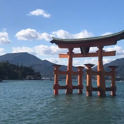 iF1NL9FoVmgXAVu's profile picture. 