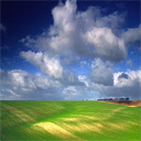 vidnovka's profile picture. 