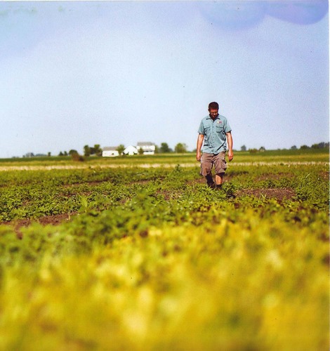 The peasants are Todd and Julia McDonald and a small farm crew growing organically just 50 miles south of Chicago on a 20-acre plot.