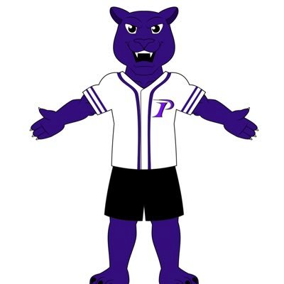 The official twitter for the fun loving, caring, purple and black loving mascot of Pacheco High! “I love being purple!”